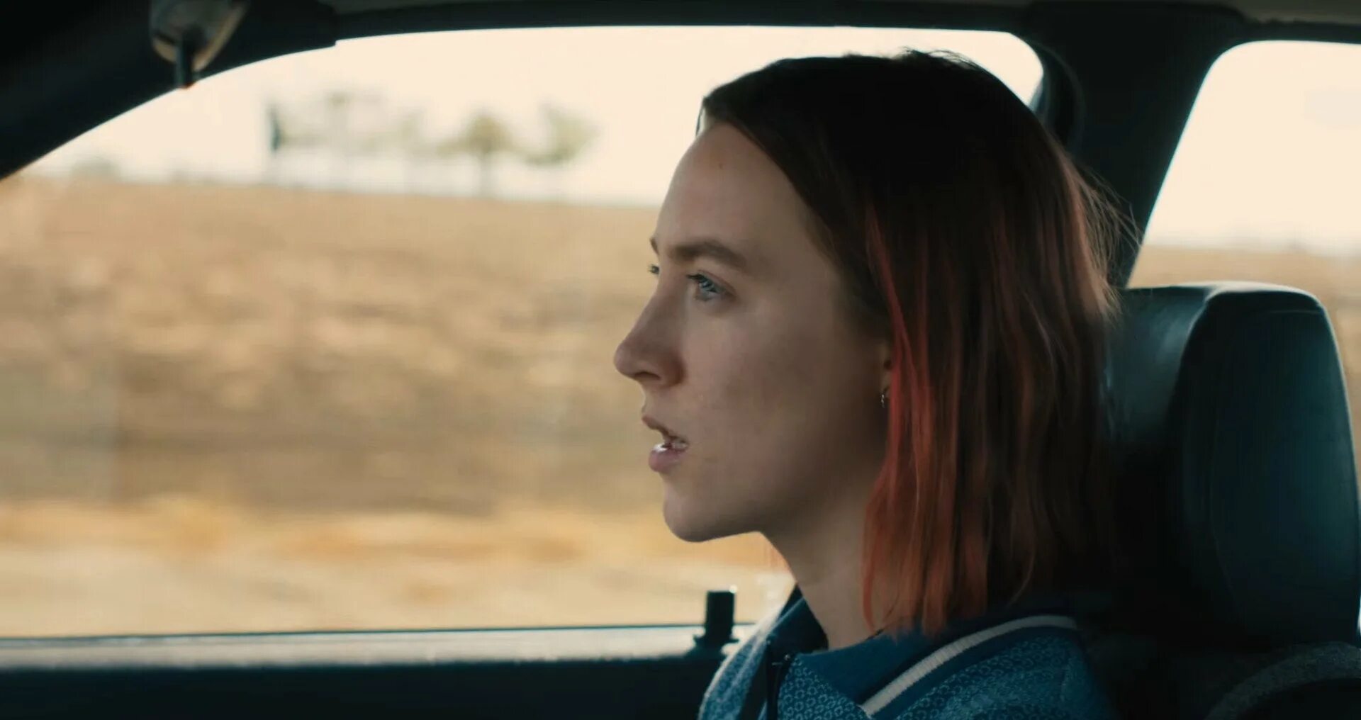 Сирша Ронан леди Берд. Леди бёрд, 2017 Lady Bird. Леди бёрд Тимоти Шаламе.