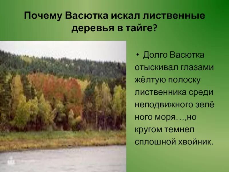 Почему название васюткино озеро. Васюткино озеро Васютка. Проект Васюткино озеро. План характеристики Васютки. Становление характера Васютки.