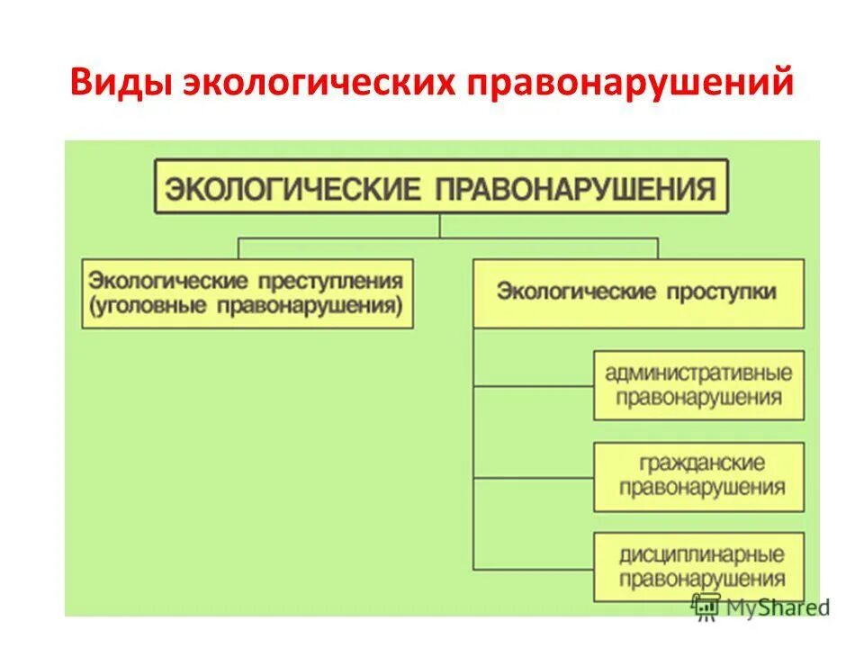 Виды экологических правонарушений. Разновидности экологических преступлений. Экологическое право курсовая