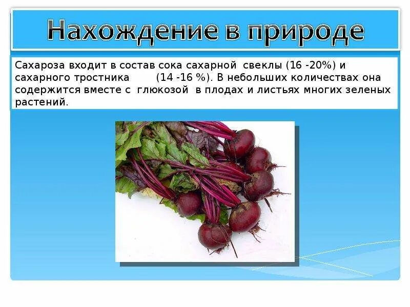 Для чего нужна сахароза. Сахароза презентация. роль в природе сахарозы. состоит сахарная свекла. сахароза в растениях.