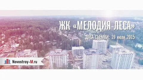 Детская мелодия леса