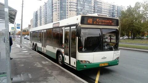 42 автобус спб