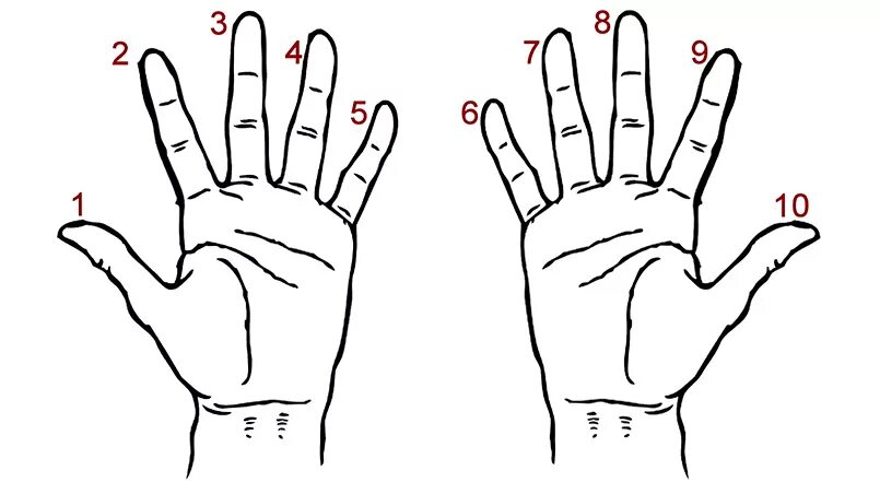 Таблица умножения на 9 на пальцах. Пальцы рук для счета. Умножение на 9 на пальцах рук. Вычисления на пальцах. Можно считать на пальцах