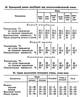 Инкубация яиц инкубаторы режимы.
