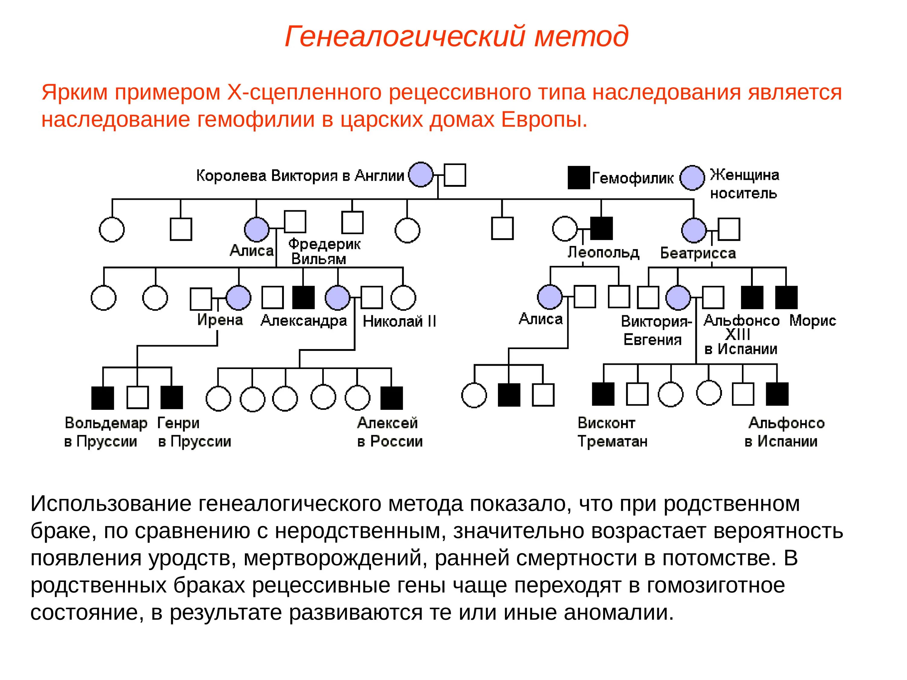 Сколько дает потомства. Наследование в родословных Тип наследования. Генеалогическое Древо х сцепленный рецессивный Тип наследования. Метод родословных в генетике человека. Генеалогический метод схема родословной.