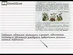 Русский язык 2 класс 2 часть упражнение 175. Русский язык 3 класс Канакина упражнение 175. Русский язык 3 класс 2 часть упражнение 175. Русский язык 2 класс стр 103. Упр 175 4 класс 2 часть