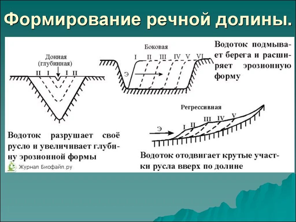 Этапы формирования Речной Долины. Схема образования речных Долин. Схема формирования речных террас. Формирование речных Долин.