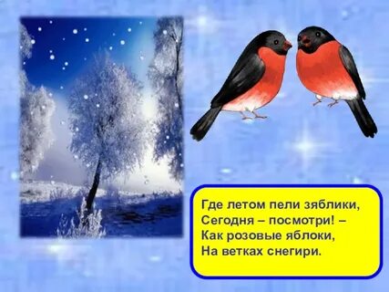 Как розовые яблоки на ветках снегири стихотворение