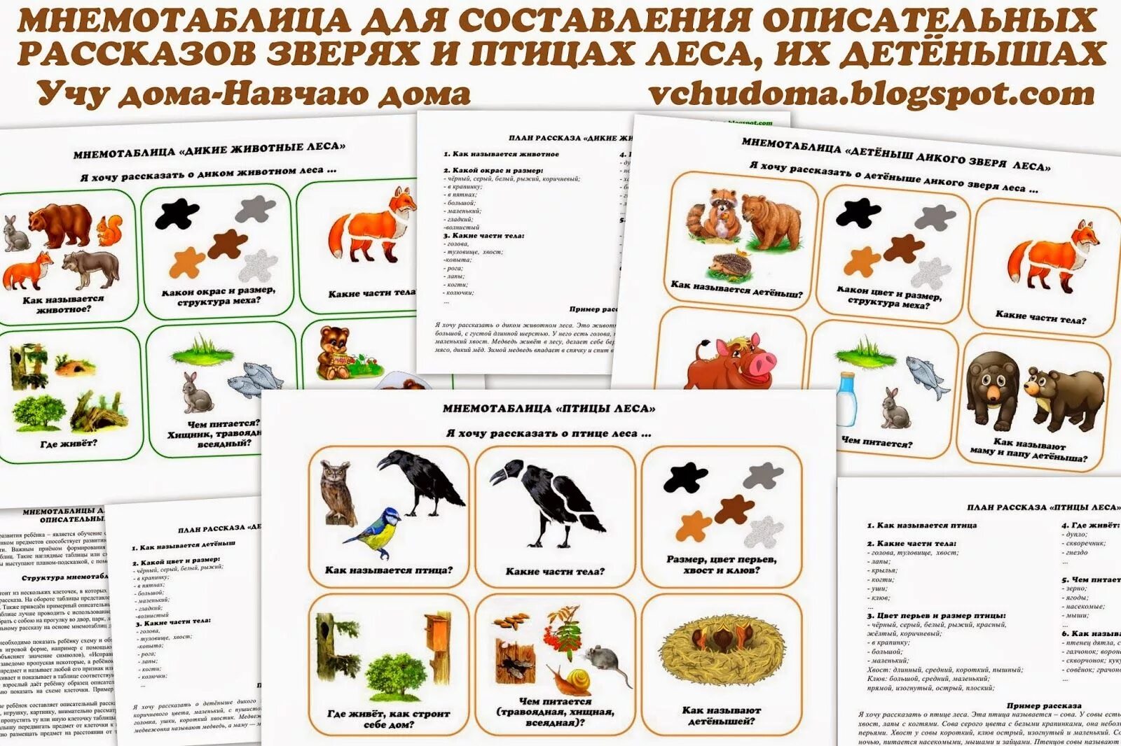 Описание животных средняя группа. Схема описания дикого животного. Мнемотаблица Дикие и домашние животные. Тематический комплект животные леса. Мнемотаблицы Дикие животные.