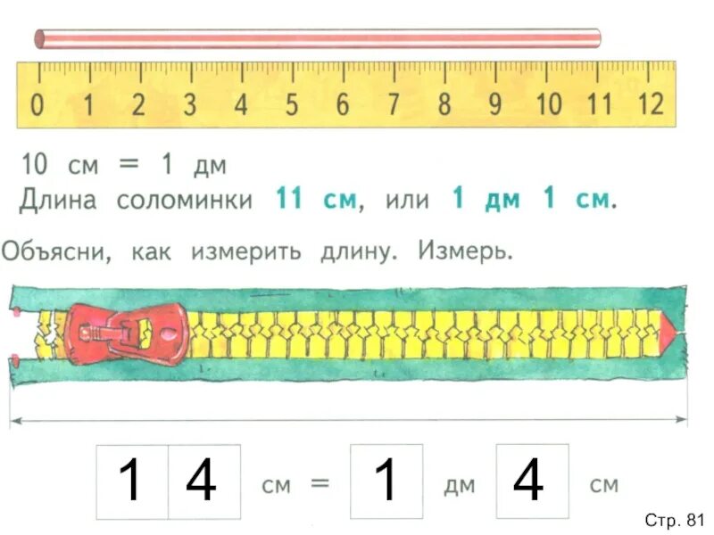 Математика 1 класс тема дециметр