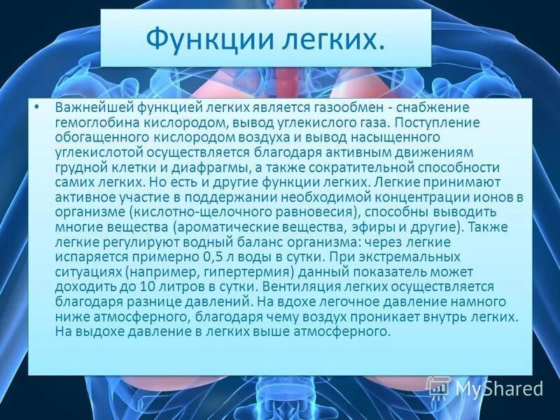 Функции лёгких человека. Легкие функции. Респираторные функции легких. Какие недыхательные функции выполняет дыхательная система человека?. Легкие функции.