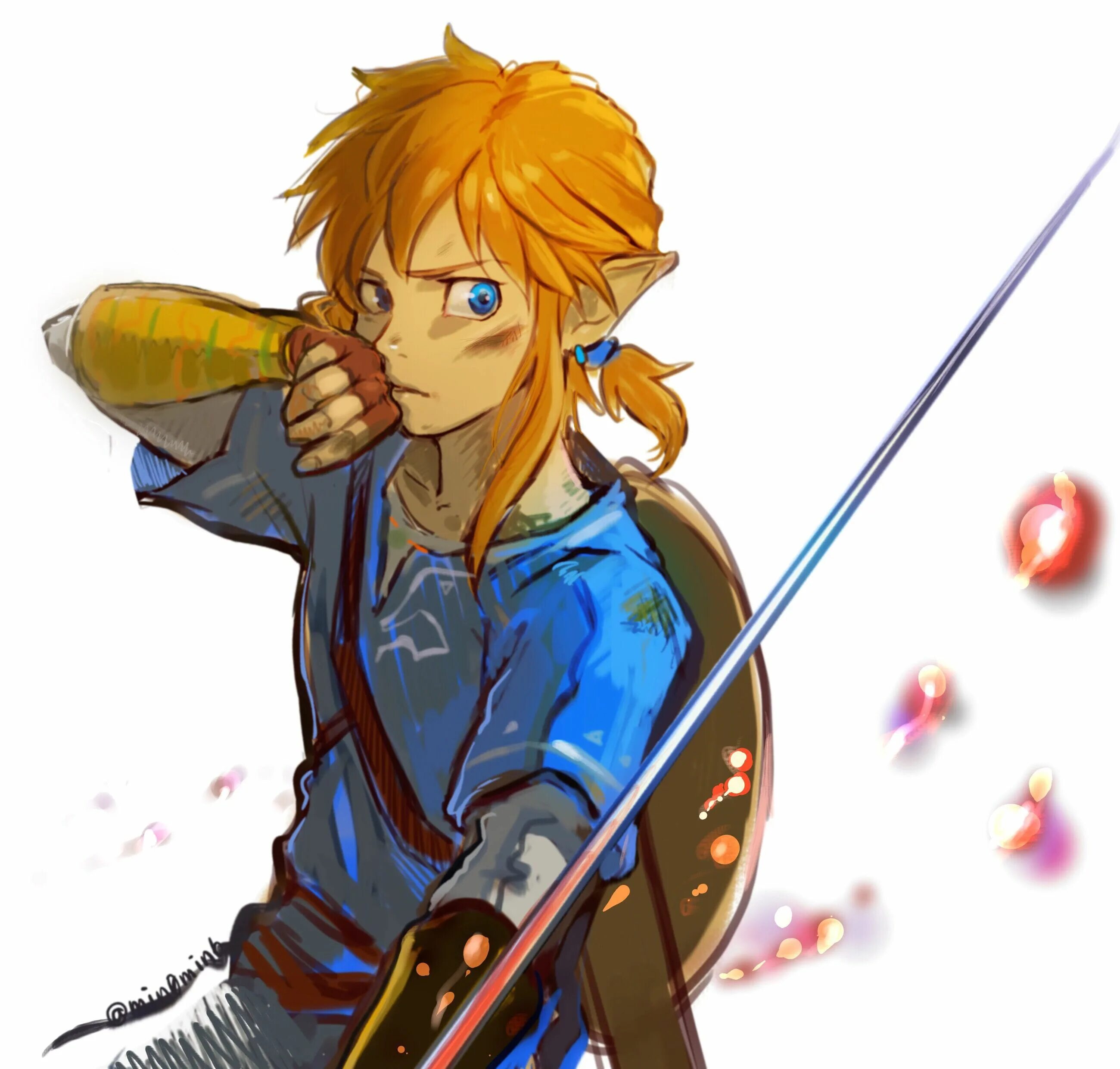 Learned link link. Линк Breath of the Wild. Линк и Зельда Breath of the Wild. The Legend of Zelda Breath of the Wild link. Линк Легенда о Зельде Breath of the Wild.