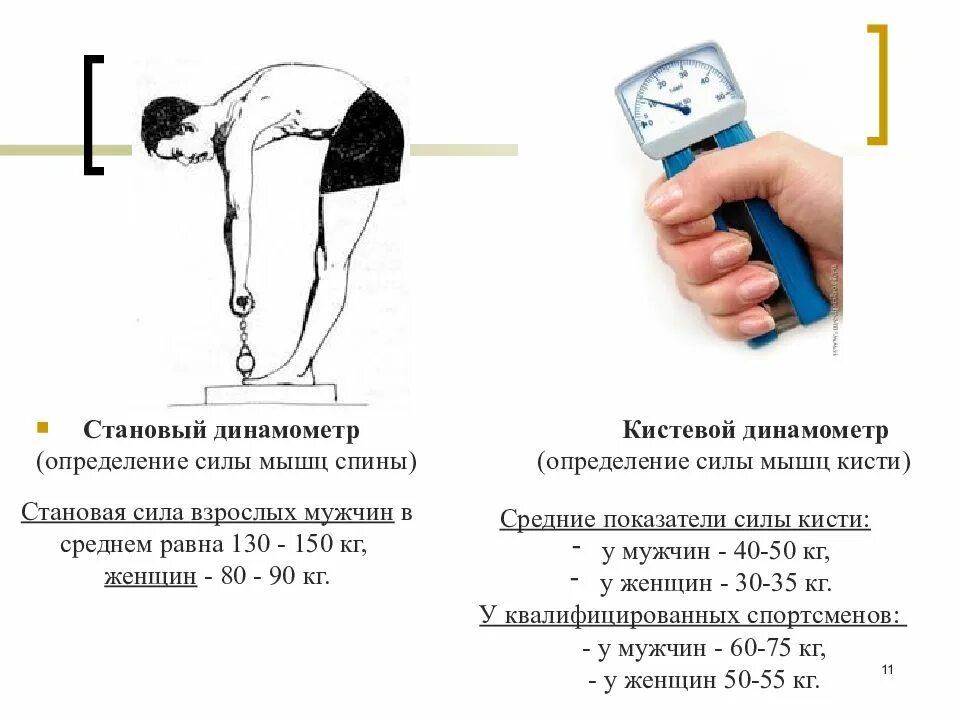 Некорректные показания. Кистевая динамометрия норма. Динамометр кистевой норма для мужчин. Норма сжатия кистью динамометр. Динамометр кистевой норма для детей.