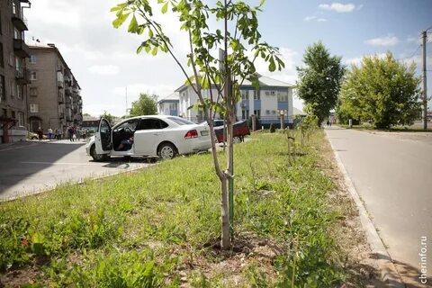 Узнать череповец