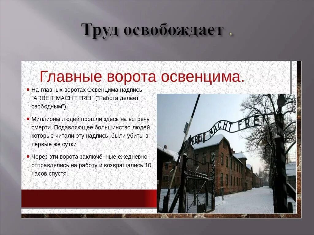 Надпись на воротах Освенцима. Освенцим надпись на воротах. Надпись на воротах концлагеря. Труд освобождает Освенцим ворота.