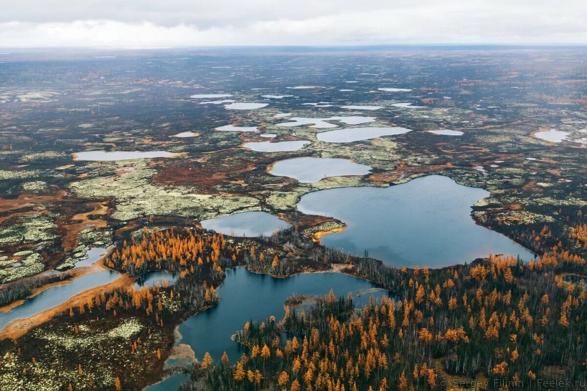 Полуостров Таймыр Дудинка. Тундра Красноярского края. Город Дудинка Красноярский край тундра. Тундра Дудинка. Озеро на севере материка