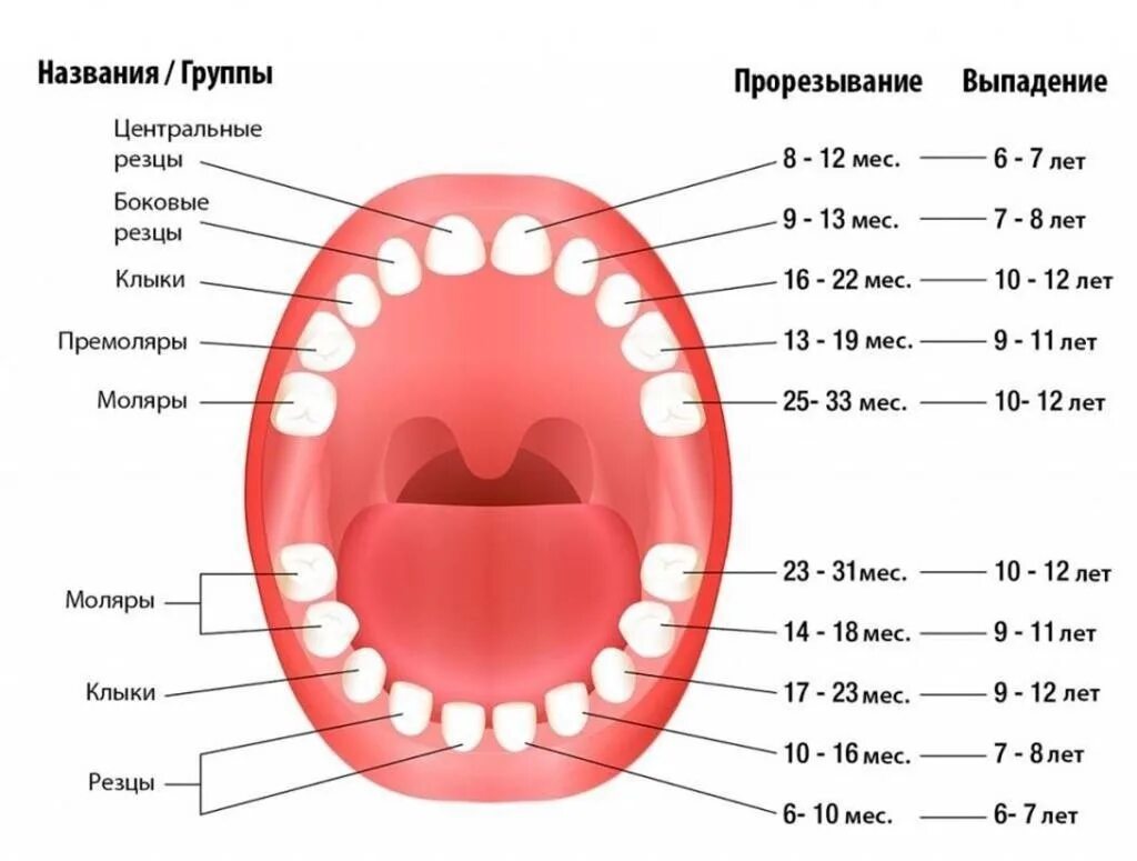 Как называется когда меняется