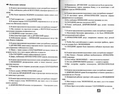 17 задание егэ русский язык