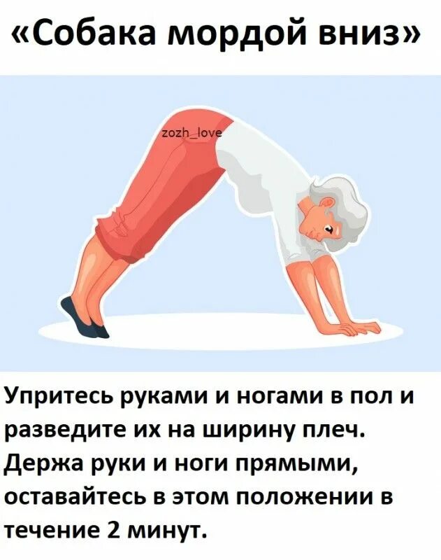 Собака мордой вниз. Адхо мукха шванасана техника выполнения. Поза йоги собака мордой вниз. Йога поза собаки мордой вниз. Собака мордой вниз, или 80 асан,.