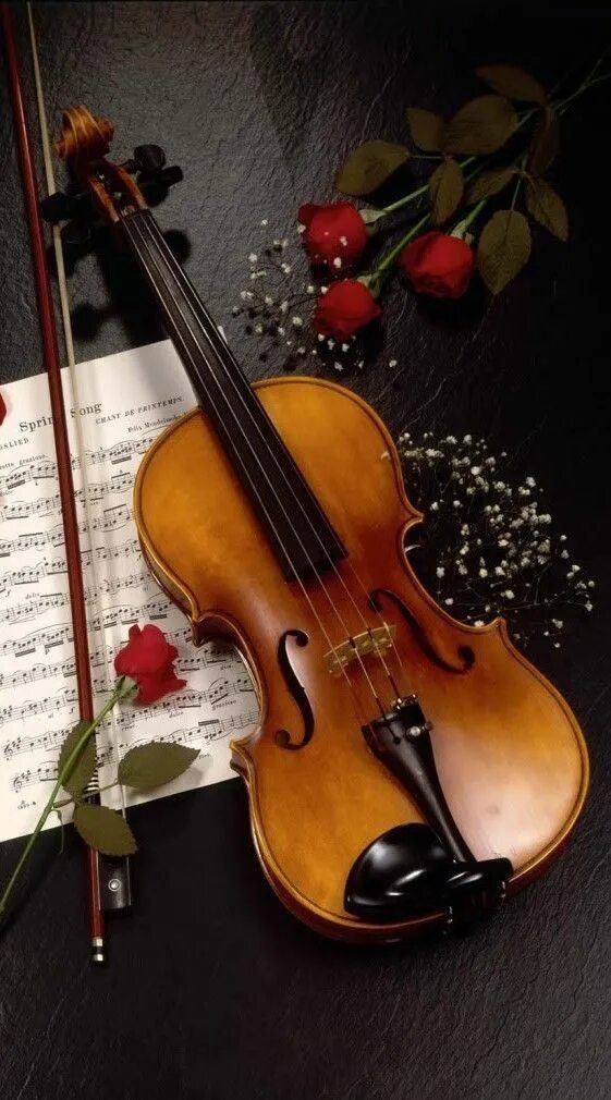 Музыка скрипки без слов слушать. Скрипка. Скрипка и цветы. Красивые музыкальные инструменты. Музыкальные картинки.