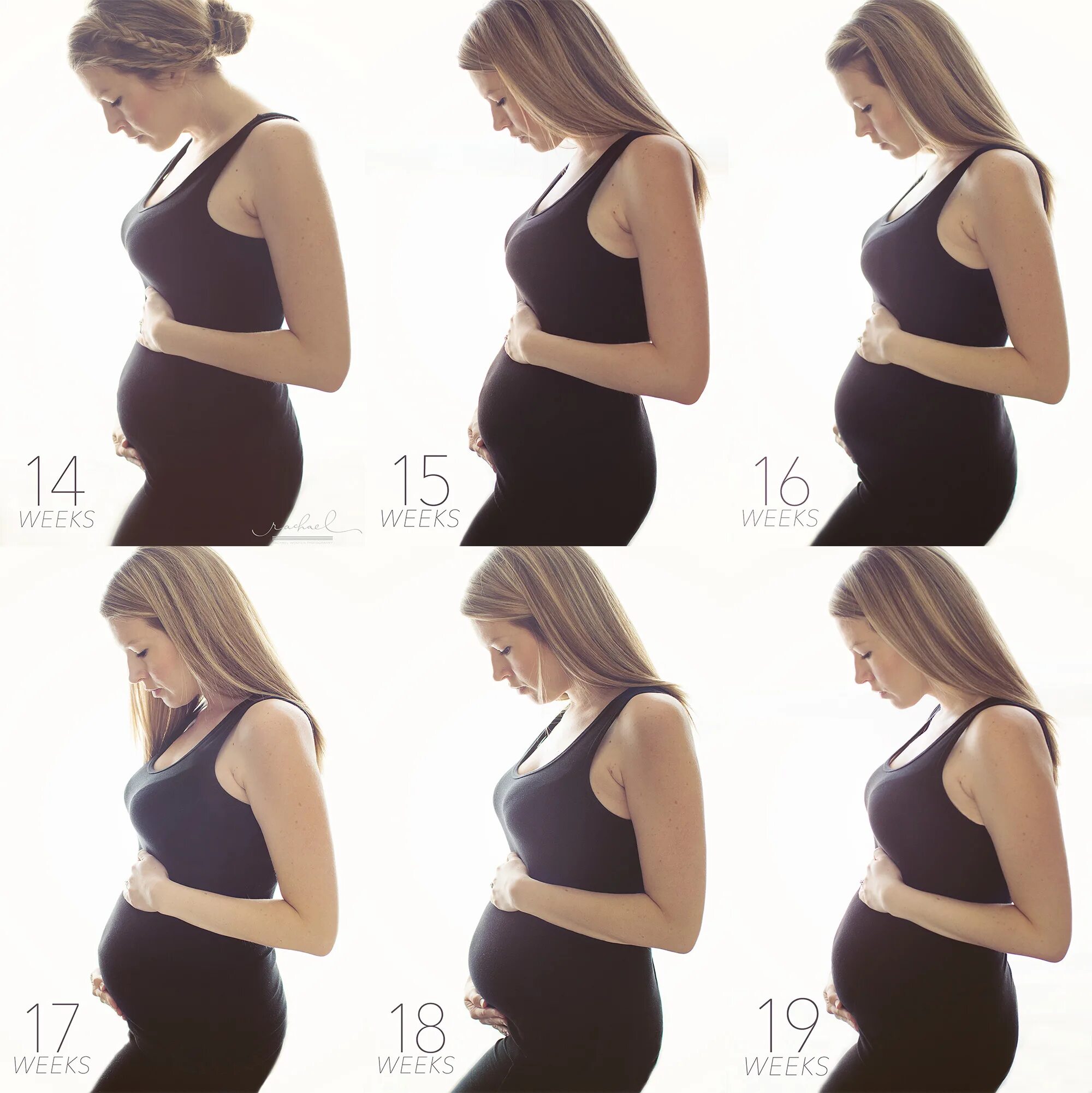 На какой неделе беременности растет живот. Живо беременной по неделям. Размер живота у беременных. Живот по неделям беременности. Живот по беременности по месяцам.