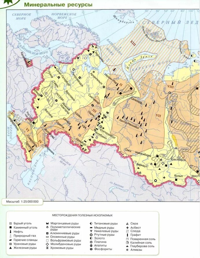 Карта природных ресурсов России. Карта Минеральных природных ресурсов России. Карта полезных ископаемых России атлас 8 класс. Карта полезных ископаемых России в атласе 8 класса география. Карта природных богатств