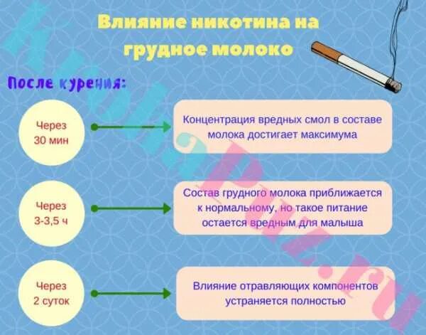 Никотин в грудном молоке. Курить при грудном вскармливании. Через сколько никотин выходит из грудного молока.