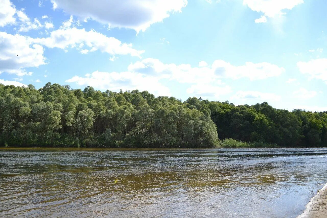 Река сейм
