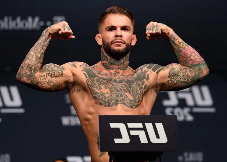 Ufc кода. Коди гарбрандт юфс. боец cody garbrandt. ufc cody garbrandt. бойцы юфс коди гарбаганд.