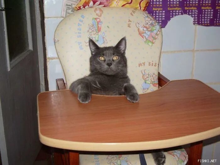 Когда терпение на исходе цитаты. Терпение на исходе. Исламские статусы про терпение. Терпение закончилось. Терпение картинки прикольные.