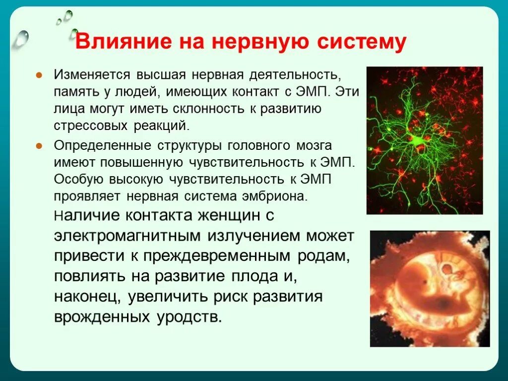 Магнитное поле и живые организмы. Влияние электромагнитного поля на нервную систему. Влияние электромагнитного поля на иммунную систему. Влияние на нервную систему. Влияние электромагнитного излучения на нервную систему.