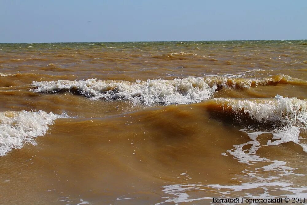 Азовское море Азовское море. Таганрогский залив Должанская. Цветение Азовского моря Пересыпь. Вода азовская 1