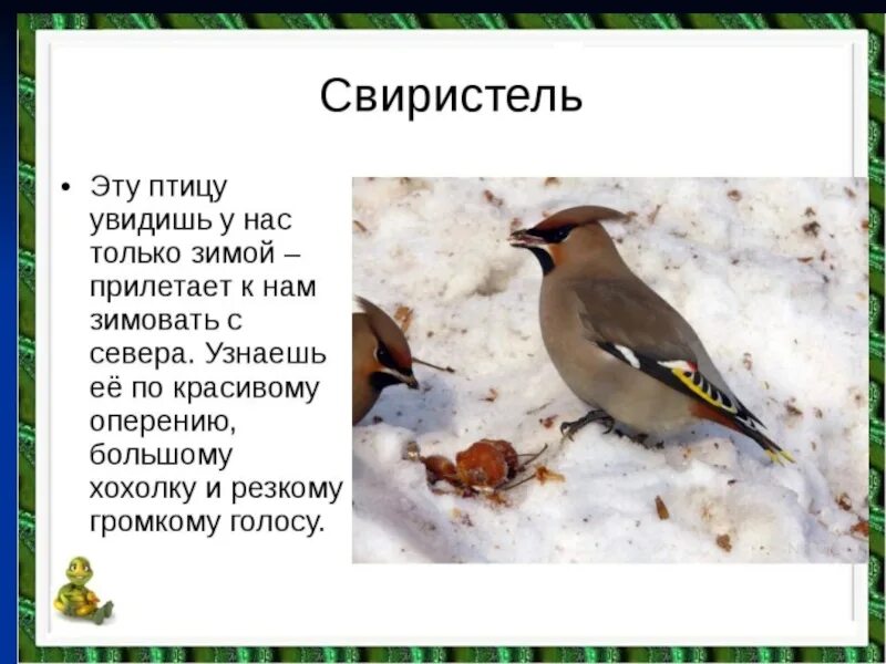 Про какую птицу