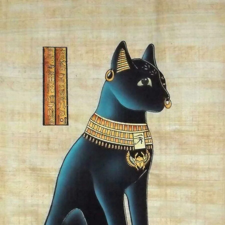 Животные богов египта. Бастет Эрмитаж. Богиня Бастет-львица. Сфинкс кошка Египетская мифология.
