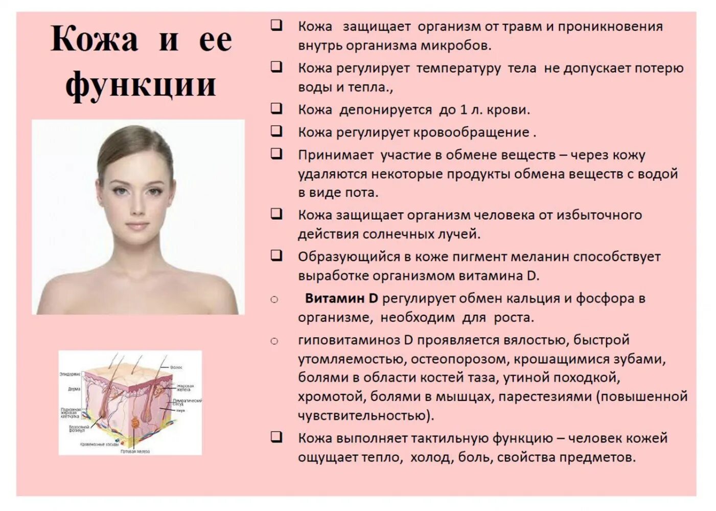 Кожа не выполняет функцию тест. Кожа регулирует температуру тела. признаки чувствительной кожи.