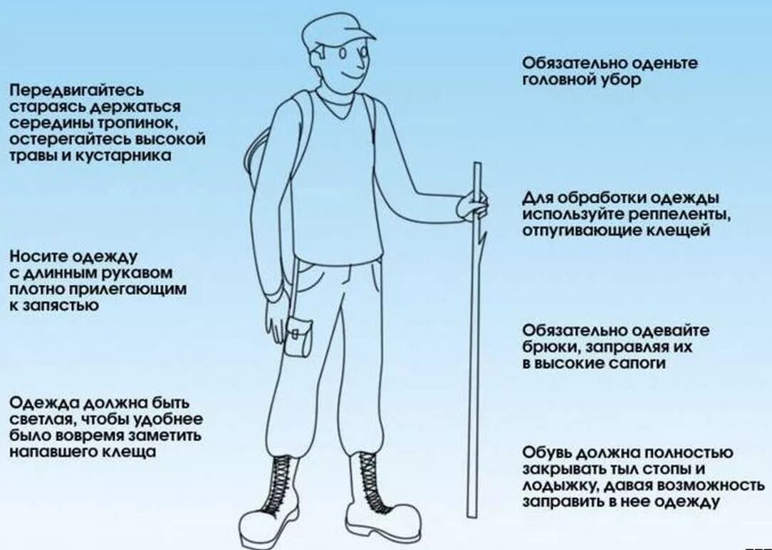 Меры профилактики Энцефалитный клещ. Памятка как защитить себя от клещей. Защити себя при походе в лес. Меры предосторожности от клещей. Профилактика клещевого энцефалита памятка