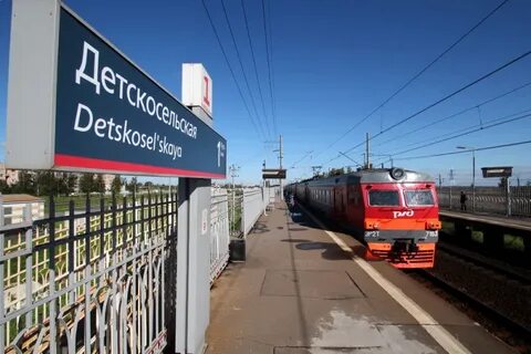 Детскосельская витебский на сегодня