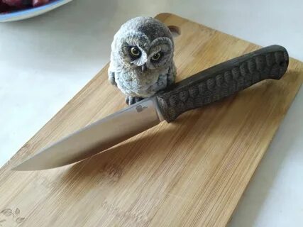 Ножи owl