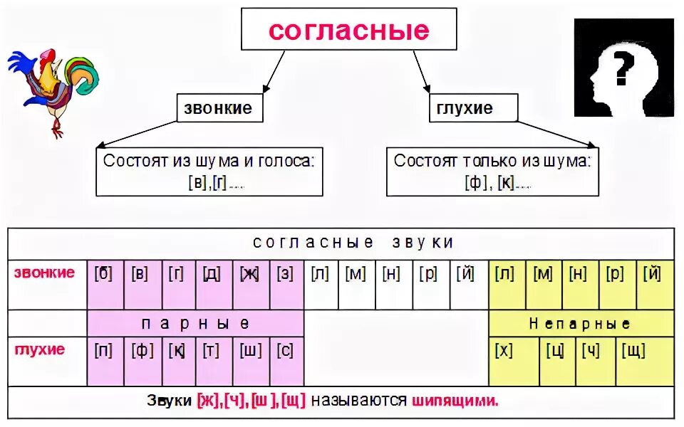 Найти глухие и звонкие