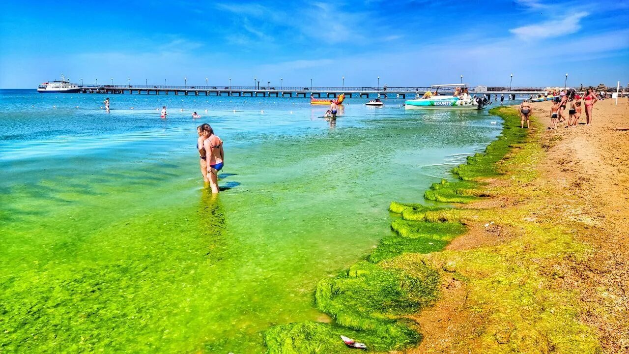 Анапа Витязево море цветет 2021. Цветение моря Витязево Анапа. Анапа Витязево море сейчас 2022. Анапа цветет море 2022. Цены на море 2022