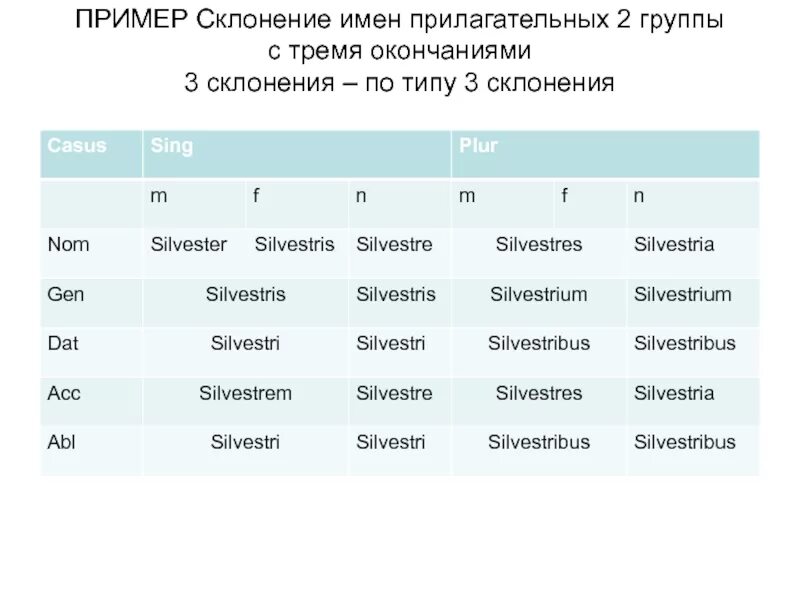 Склонение прилагательных латынь 3 склонение. Прилагательные 2 группы латынь. Прилагательные 2 группы 3 склонение латынь. Латынь склонение прилагательных 2 группы.