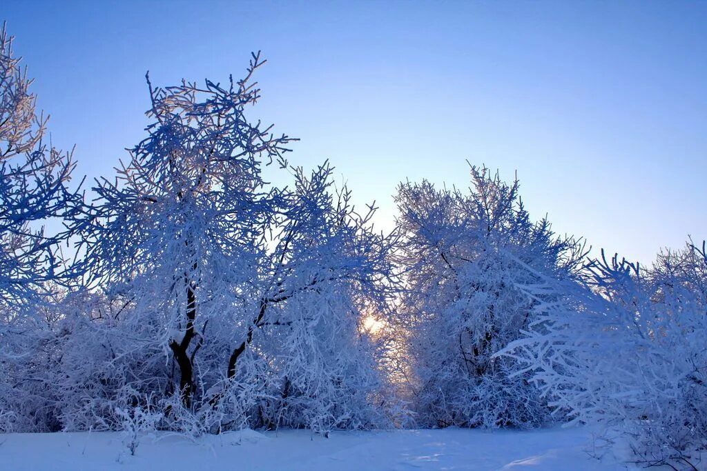 Cold december. Зимний день. Зима декабрь. Морозный денек. Декабрь фото.