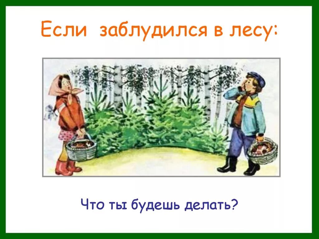 Ау в лесу. Заблудился в лесу. Потерялся в лесу иллюстрация. Лесные опасности если заблудился в лесу. Потерялся в лесу рисунок.