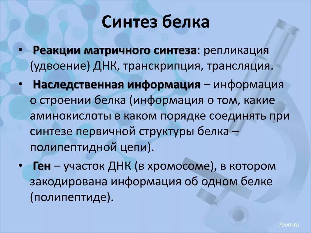 Синтезирует белки