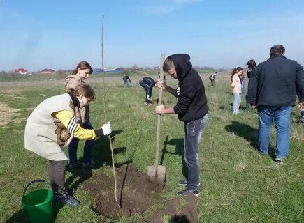 Погода в старокорсунской