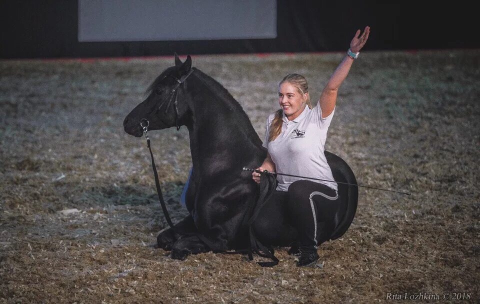 Программы кск. Конное шоу Ларисы Луста. КСК Horse Village Ростов. Конное шоу. Шоу на лошадях Каспийск.