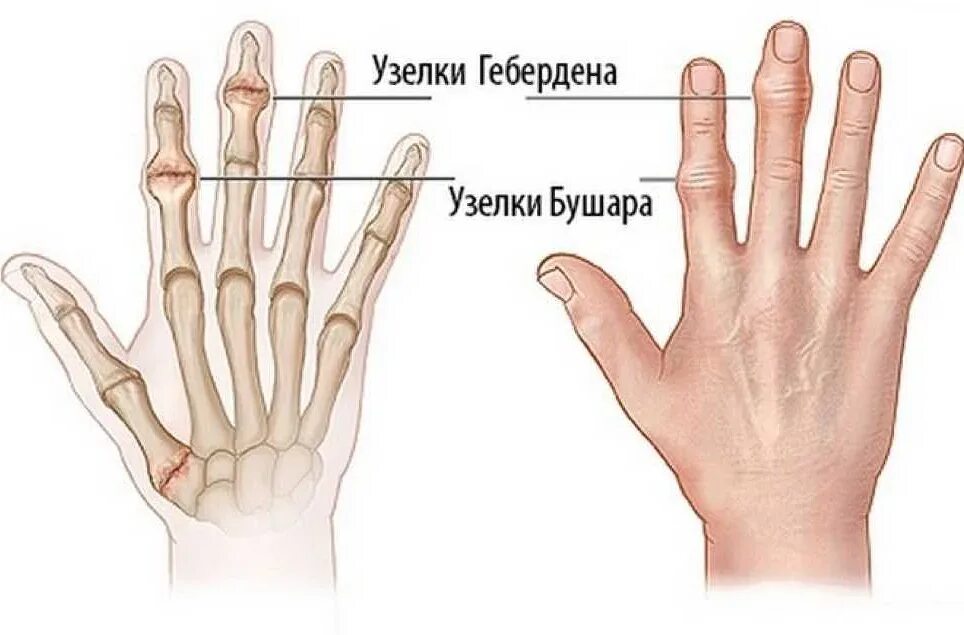 Почему ощупывать предметы лучше подушечками пальцев