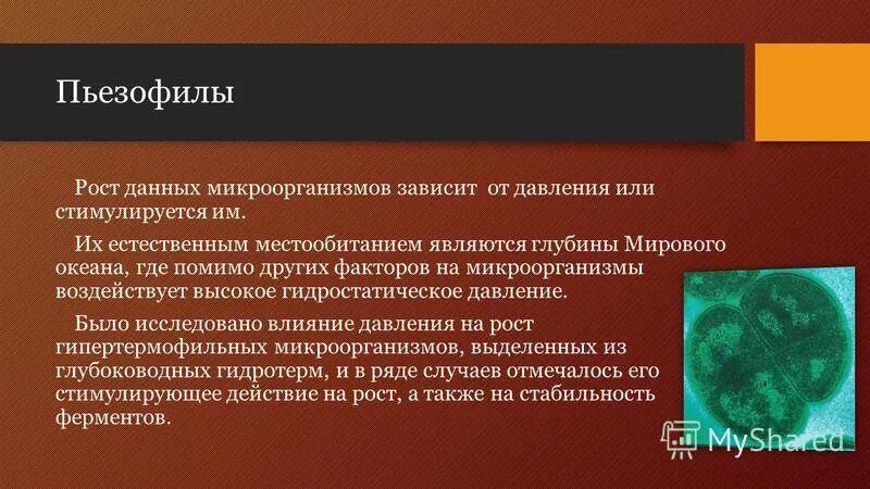 критерии городского поселения. помимо иных являются. помимо иных являются. правительство это орган исполнительной власти. помимо иных являются.