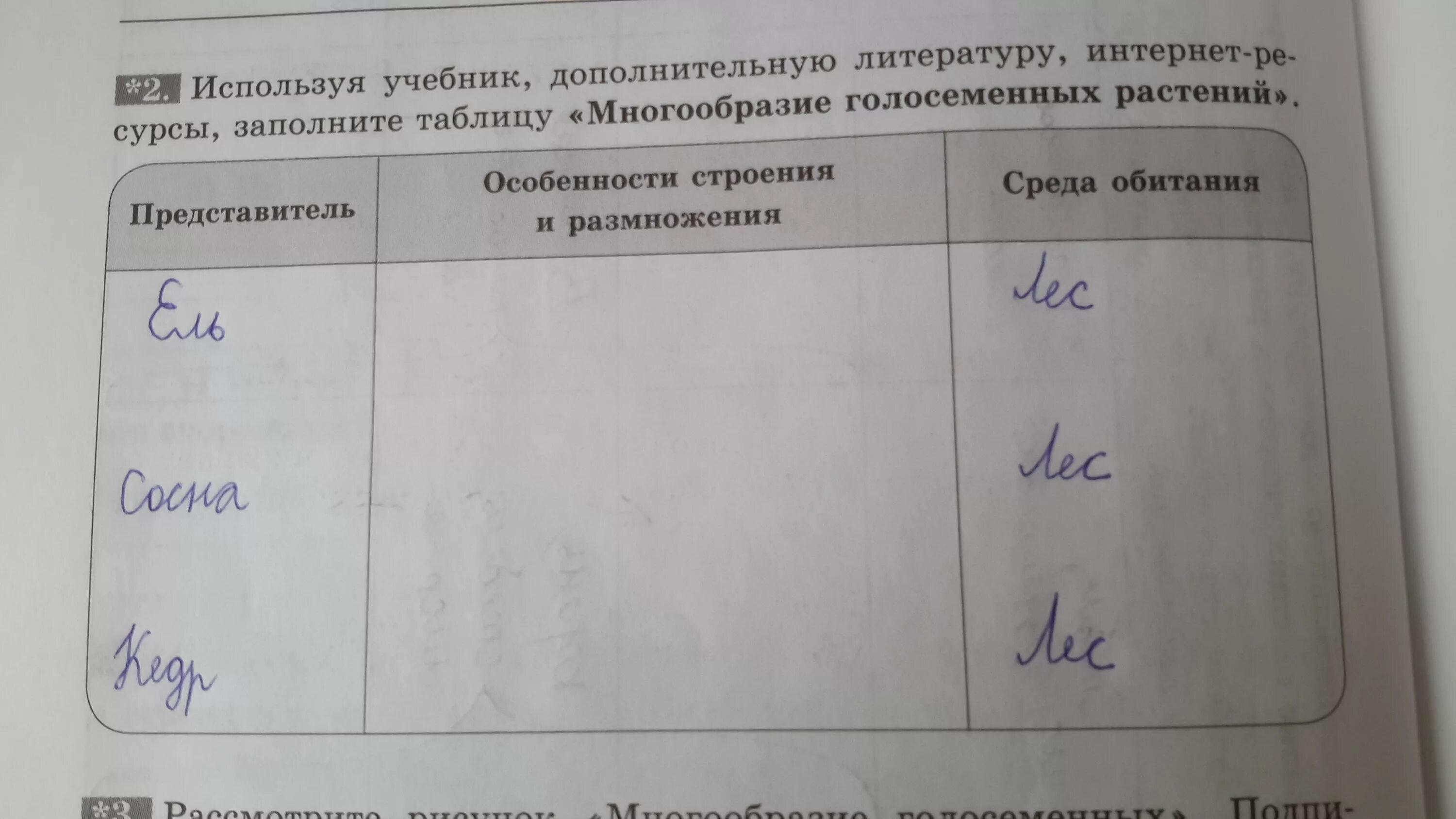 Пользуясь учебником и дополнительной литературой заполните таблицу. Используя материал учебника и до. Используя дополнительную литературу интернет. Используя дополнительную литературу. Заполните таблицу используя следующие слова