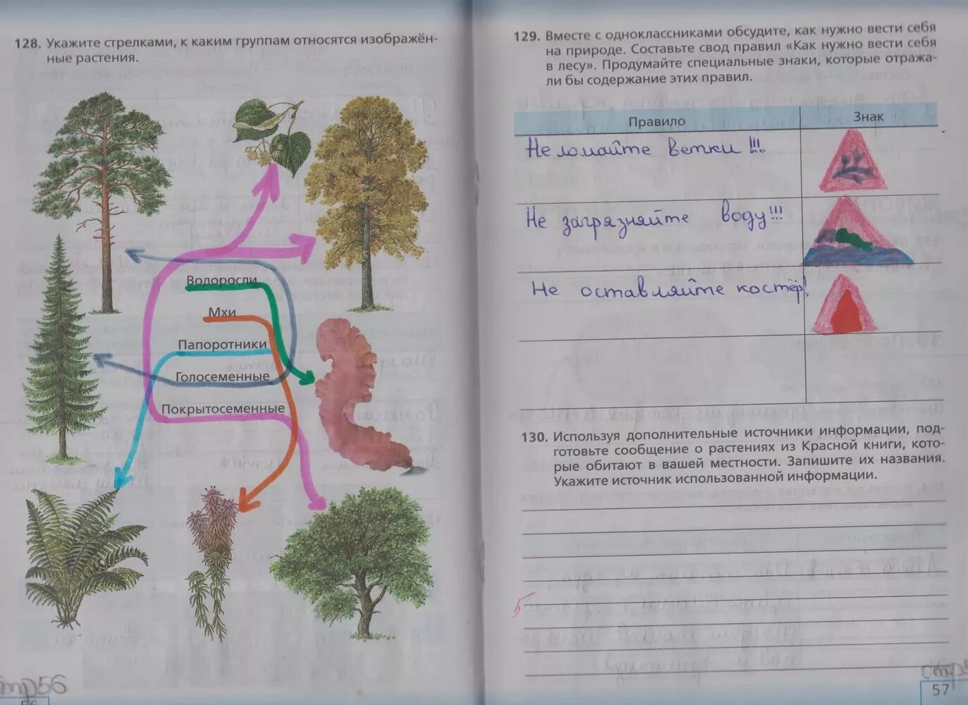 Биология 5 класс учебник стр 143. Биология 5 класс рабочая тетрадь 1 часть стр 56-57 Сонин. Биология 5 класс рабочая тетрадь страница 56. Биология 5 класс учебник задания. Биология 5 класс 1 часть рабочая тетрадь номер 5.